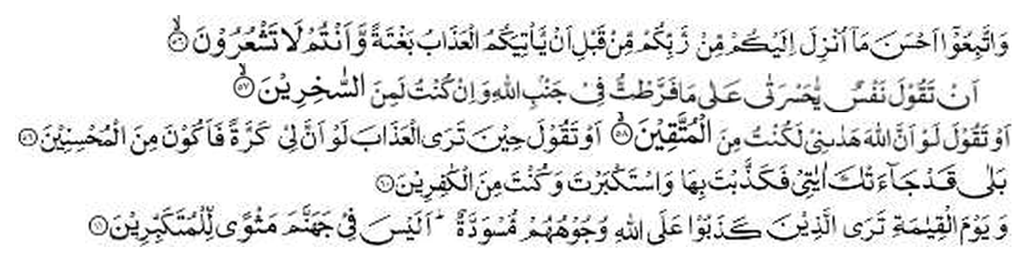 Holy Quran, Al-Zumar 39:56-61 in Arabic